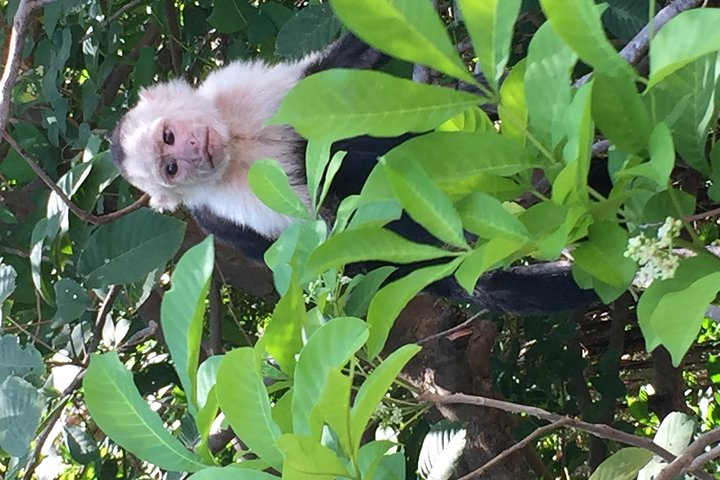 PALO VERDE NATIONAL PARK SAFARI